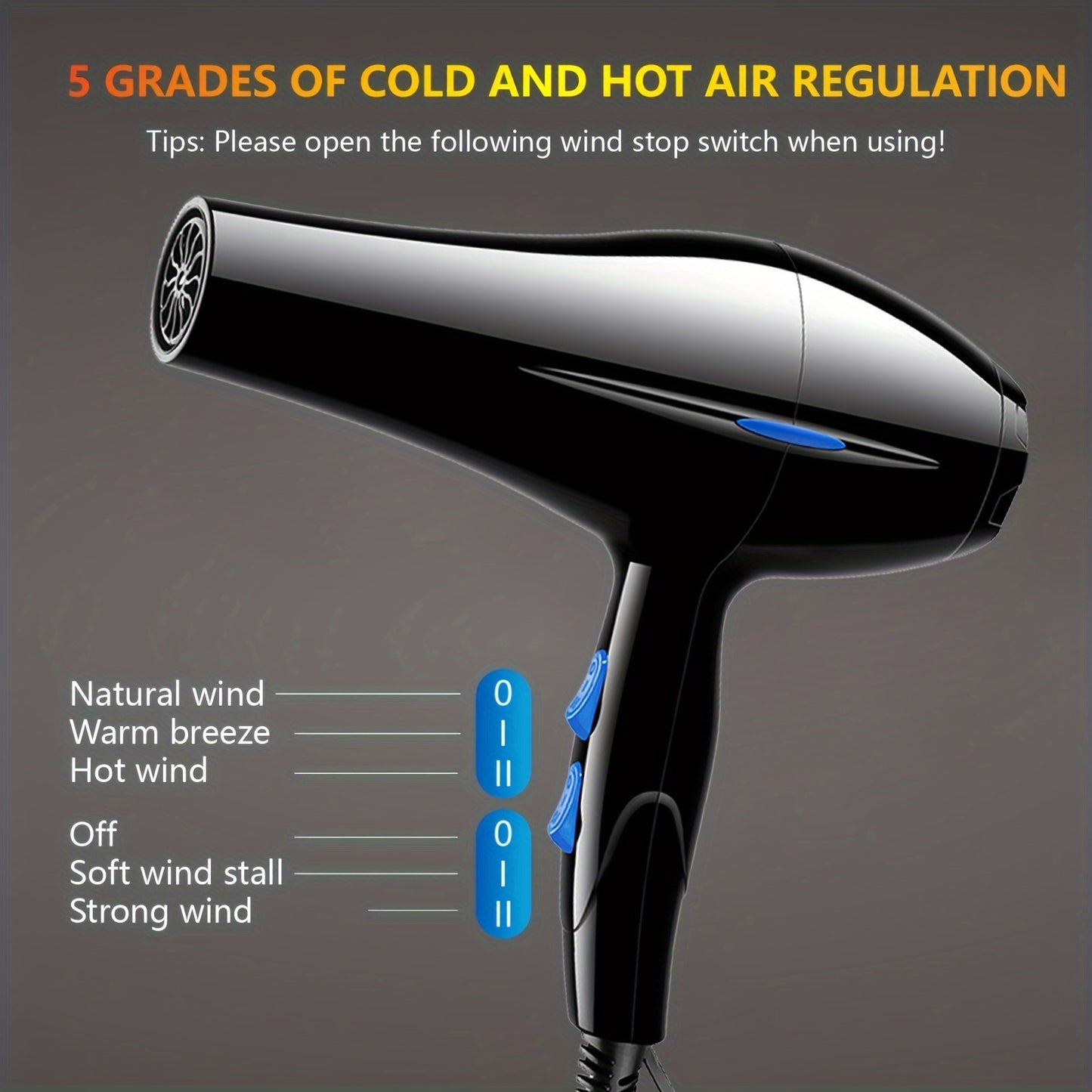 Professional Hair Dryer